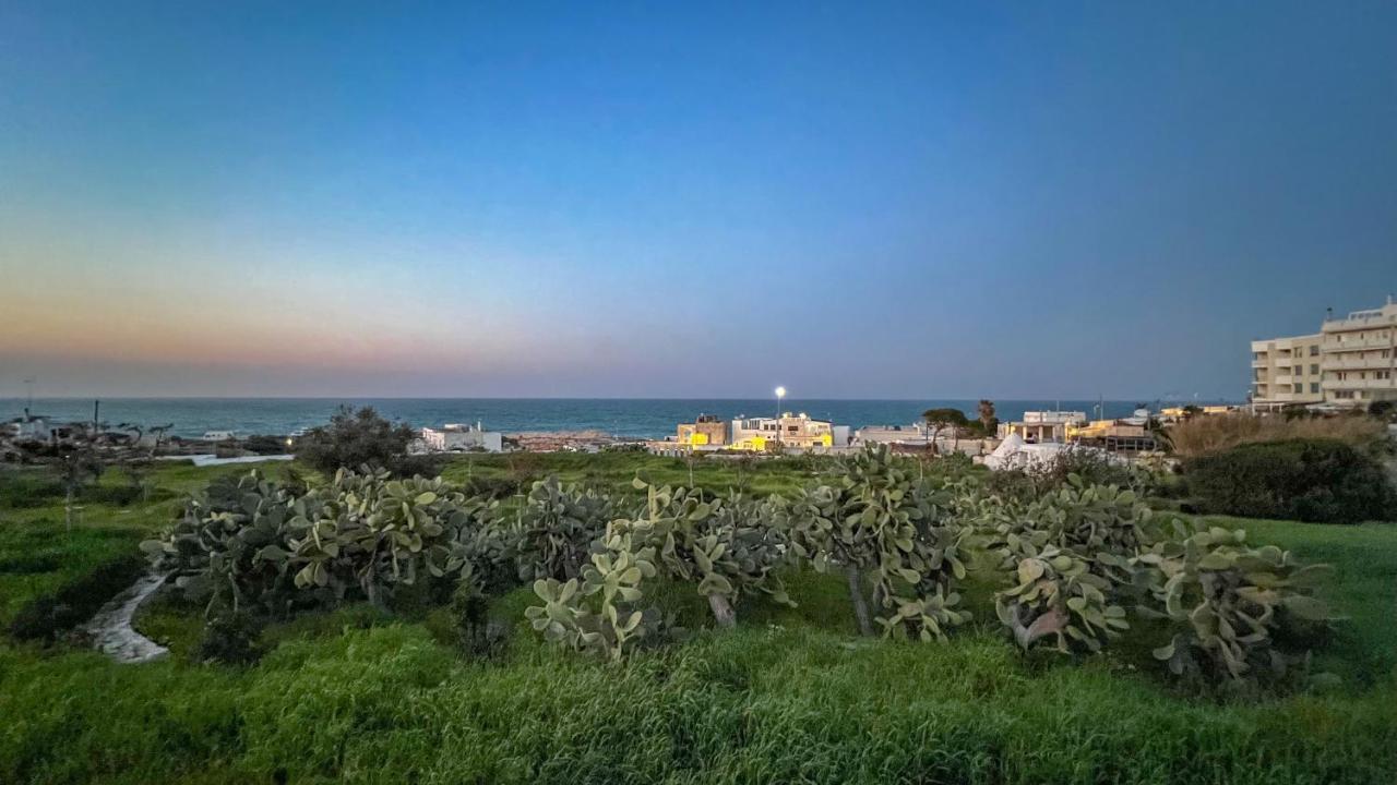 Bed and Breakfast Blue Dream Polignano a Mare Exteriér fotografie